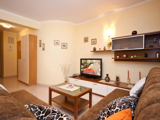 Basement Apartment