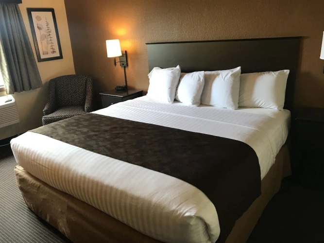1 Bedroom Double Suite