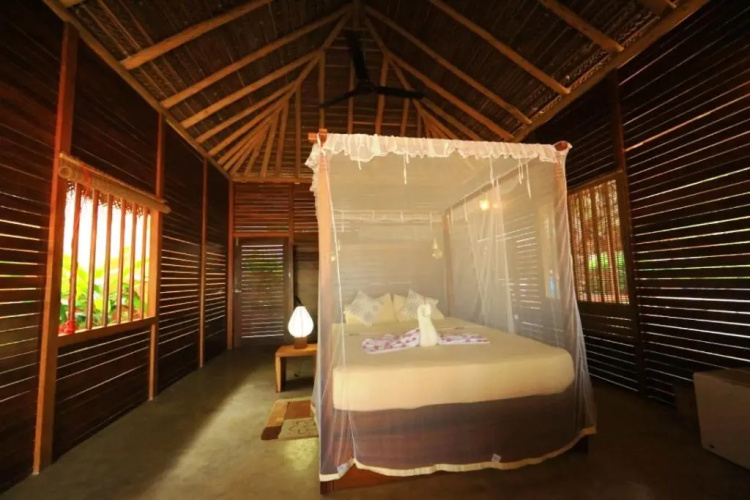 Mangrove Beach Cabana