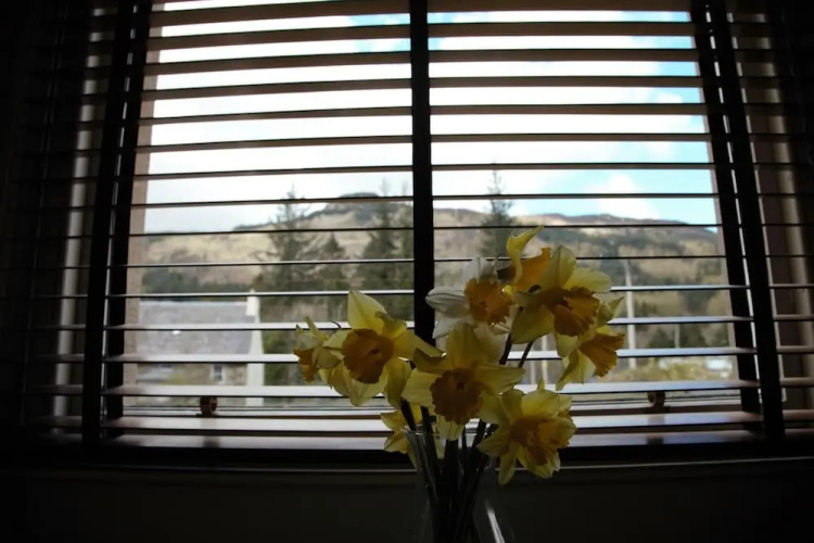 Airlie House B&B