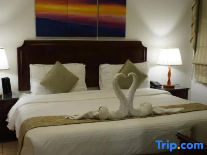 1 Bedroom Standard Single room