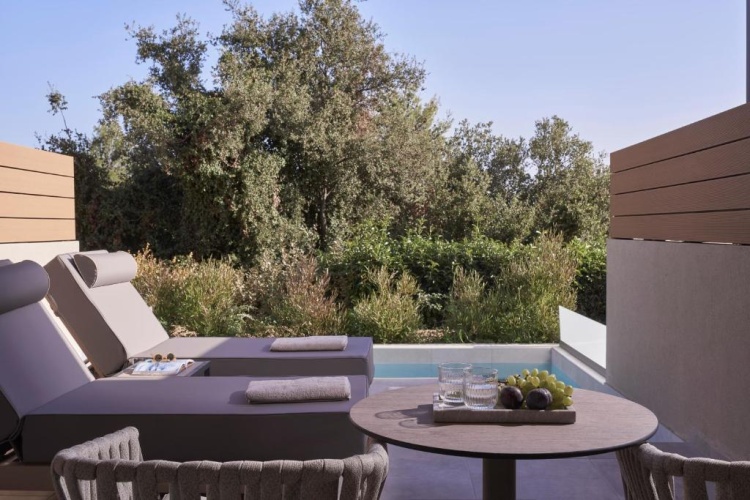 Junior Suite with land view