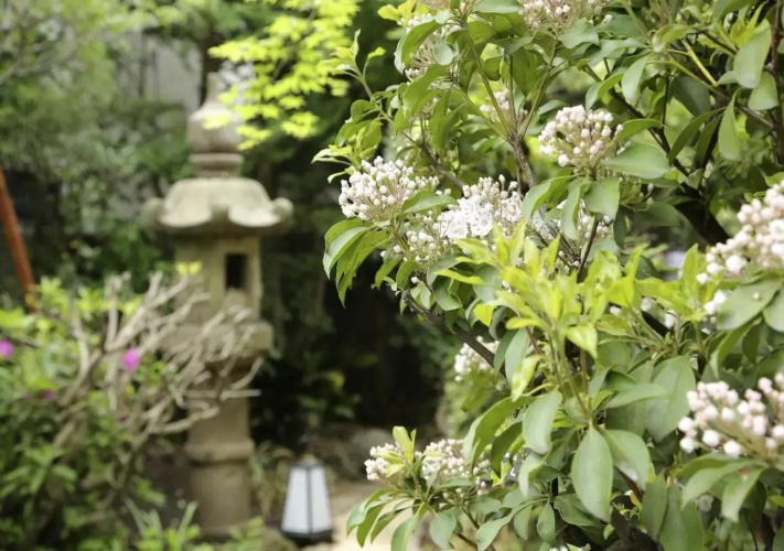 Casa Kunisaku