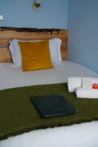 Standard Single room with view