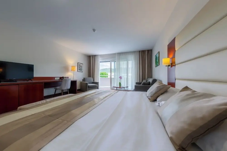 Superior Double room with mountain view