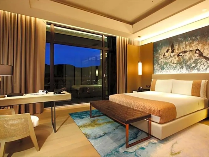 Premier Double Suite