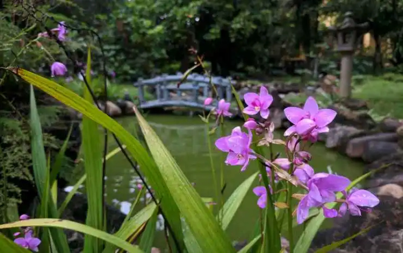 Ciel HomeStay