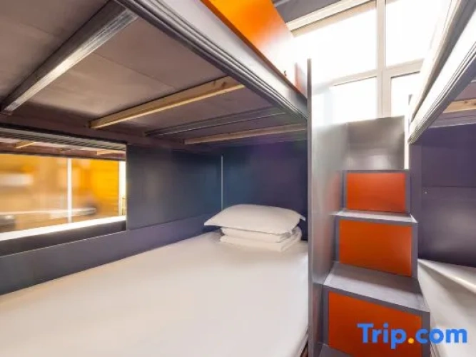 Bed in Dorm