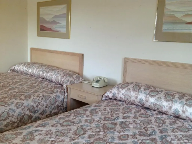 1 Bedroom Standard Single room