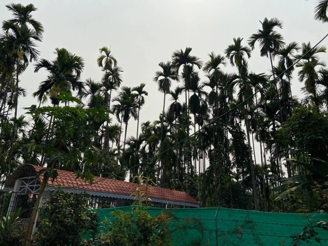 Thulung homestay