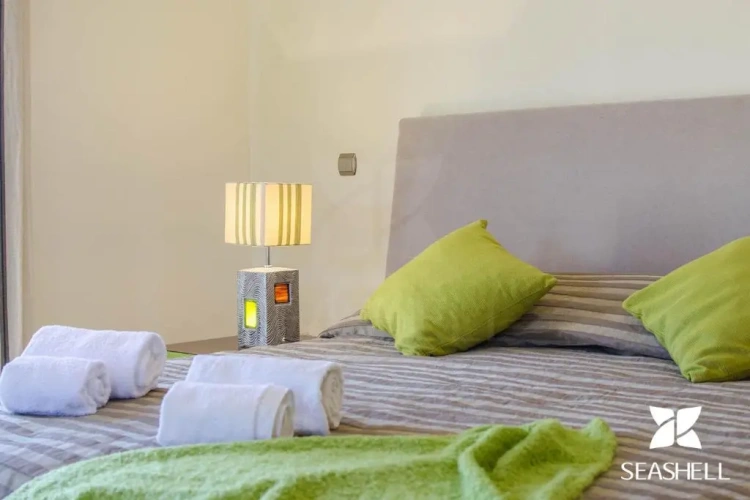 Deluxe Villa