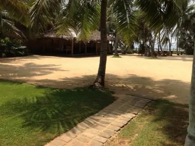 The Beach House