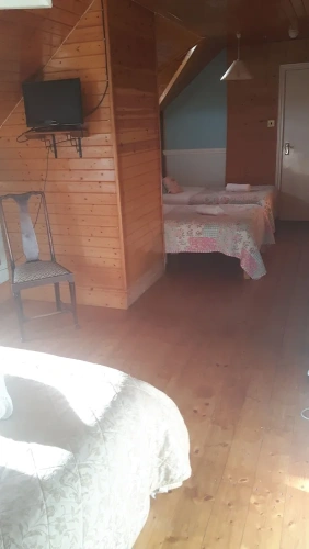 Standard Quadruple Family room with garden view