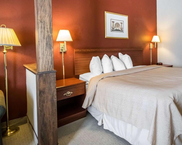 1 Bedroom Suite