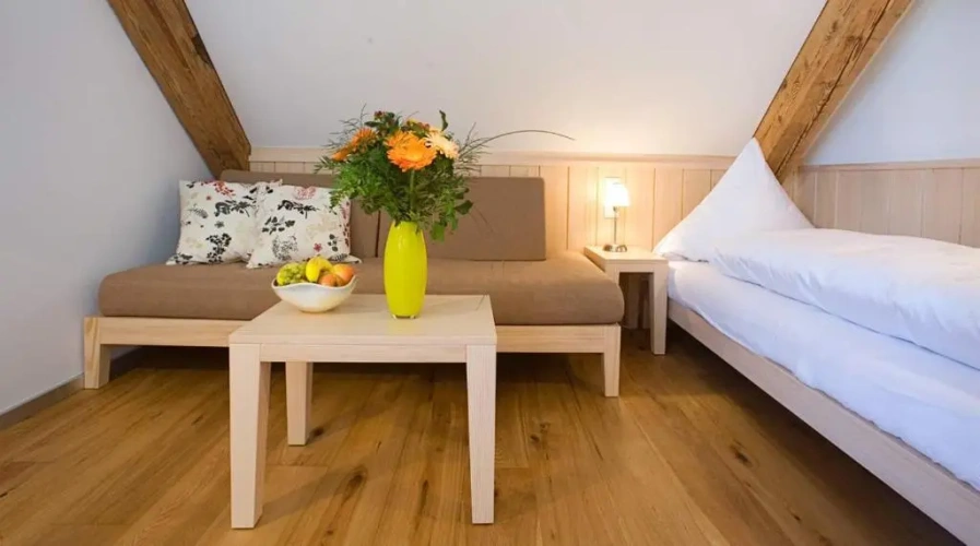 Standard Single room