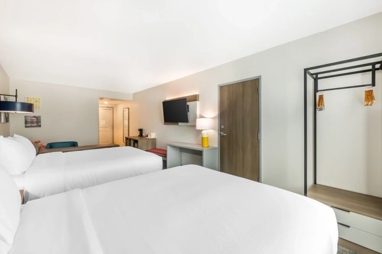 Suite