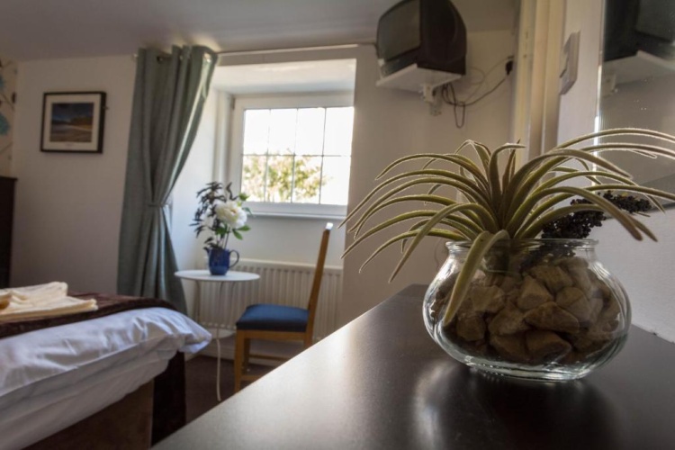 Standard Twin room with garden view