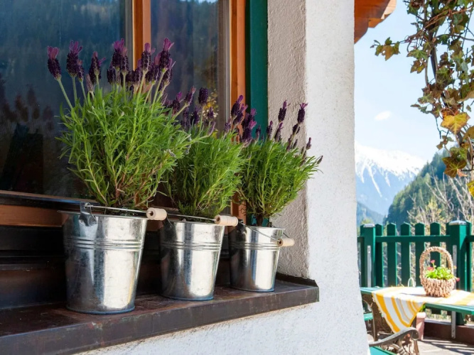 Alluring Apartment in Mayrhofen near Forest