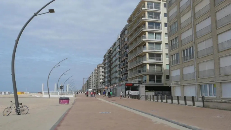 Neptunus De Panne