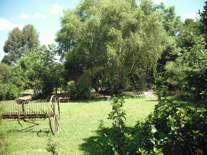 Bungalow with garden view