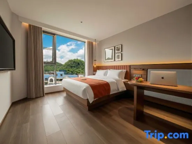 Standard Double room with city view