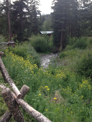 YD Guest Ranch