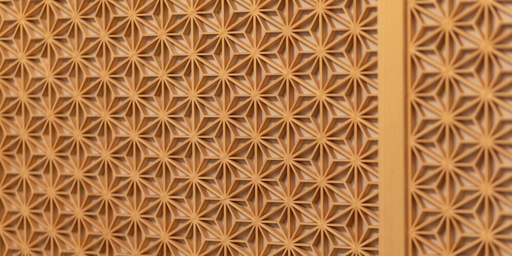 Kyoisuke Mukadeyacho OtonariOver view