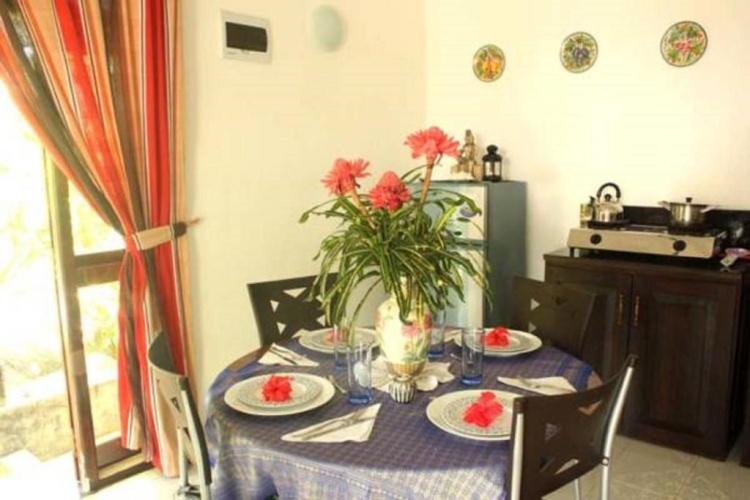 1 Bedroom Apartment with garden view
