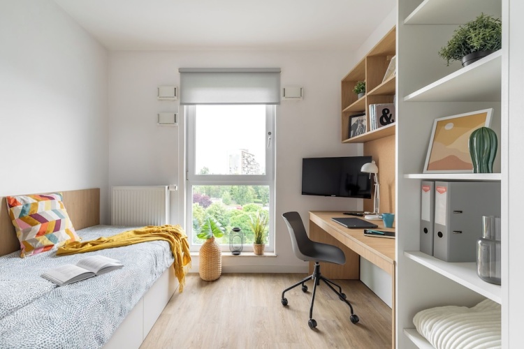 Comfort Studio