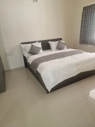 Economy Apartment