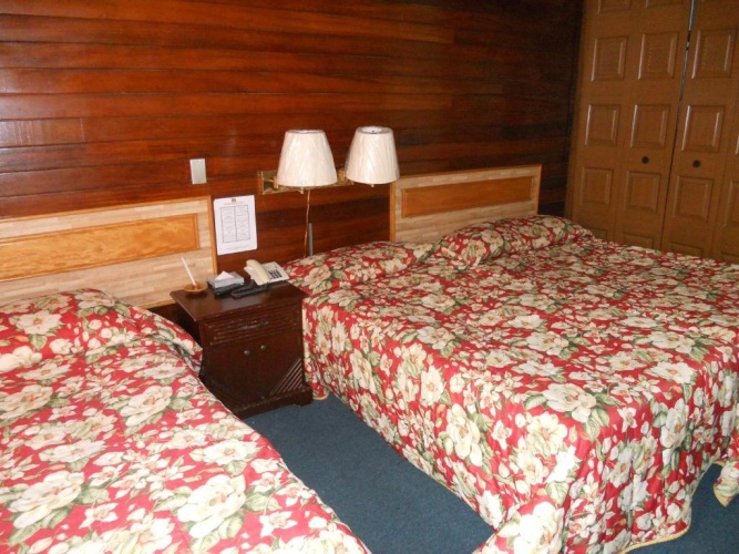Standard Twin room with view
