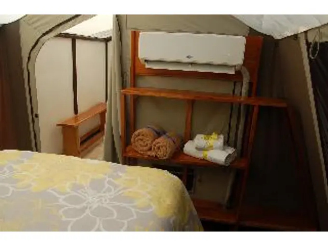 Rhincodon Typus Glamping