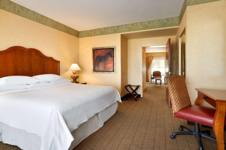 Embassy Suites by Hilton Albuquerque photo 6