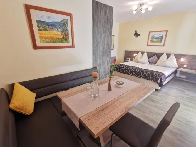 1 Bedroom Apartment with balcony and with lake view