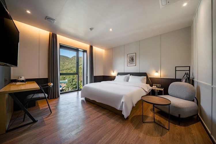Deluxe Double room