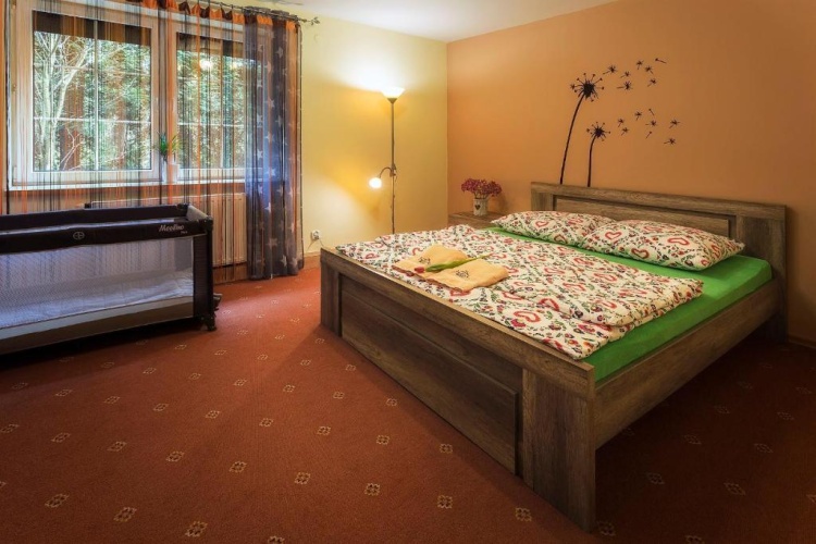 Standard Apartment