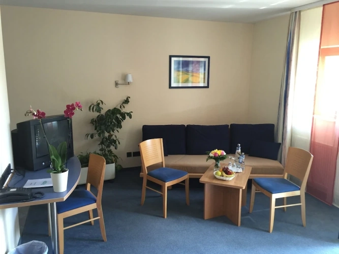 1 Bedroom Standard Apartment