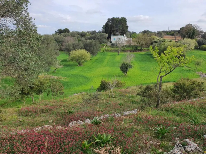 Trullo turchese Fabiola