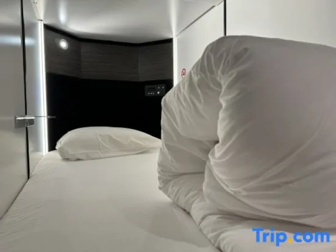 Economy Capsule