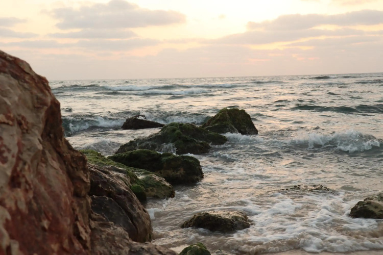 Zohara by the beach