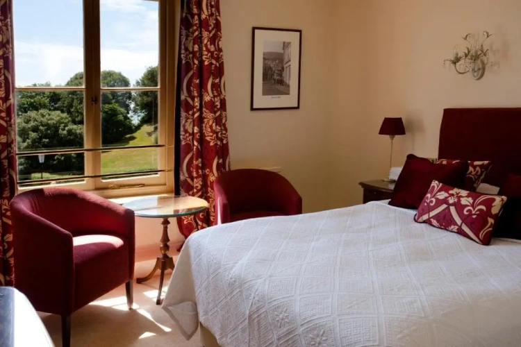 Standard Single room with garden view