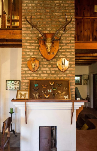 Fredy's Bungalow