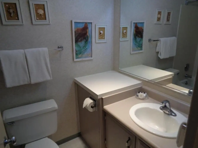 1 Bedroom Standard Double room