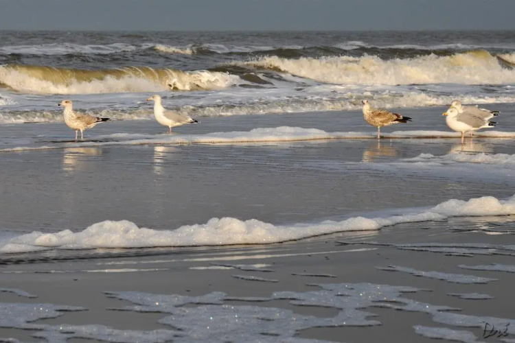 Studio Glücklich am Meer