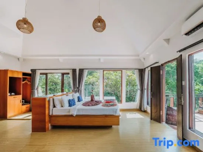 Superior Single room with pool view