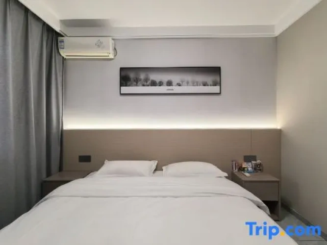 Comfort Suite