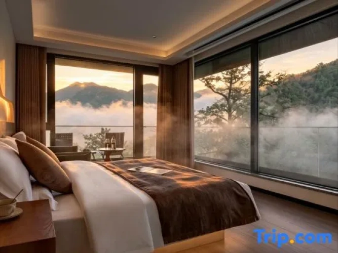 Standard Double room with pool view