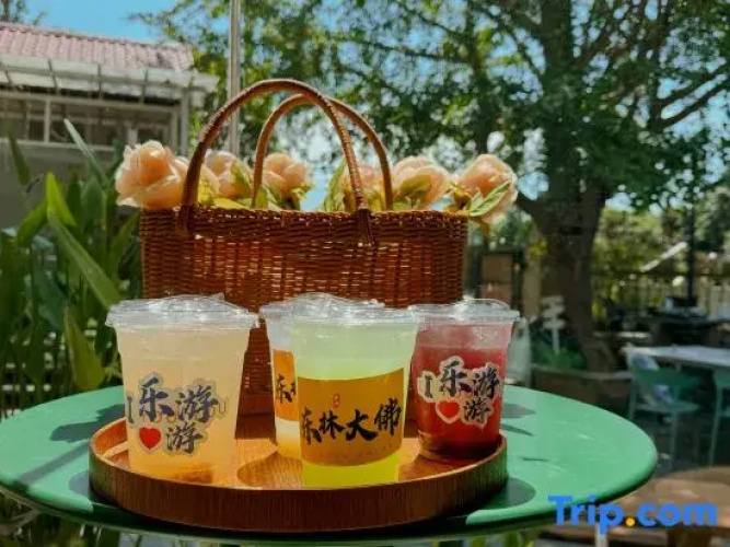 Leyouyou Garden Inn