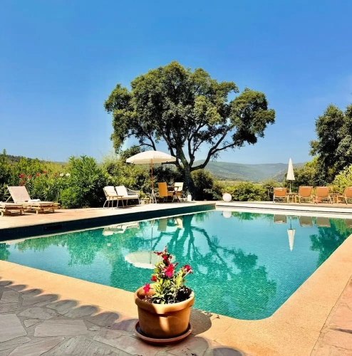 Executive Double room with pool view