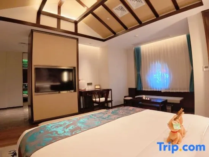 Luxury Double room with city view